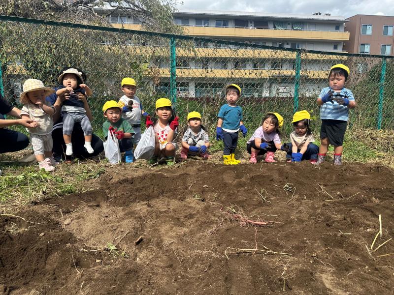 ＜おいもほりをしました＞