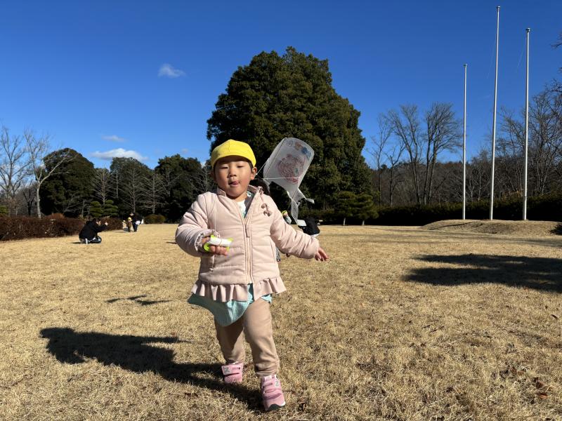 ＜空高く揚がった凧＞